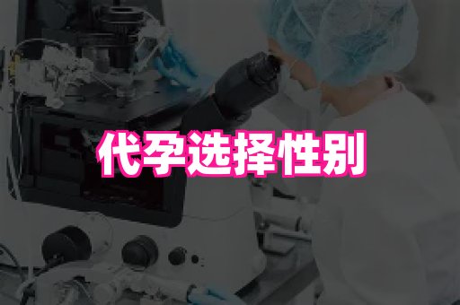 乐乐助孕网 2