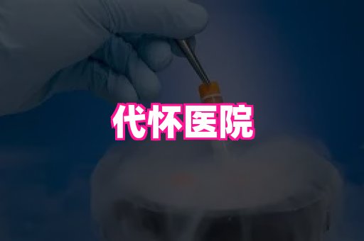 乐乐助孕网 3