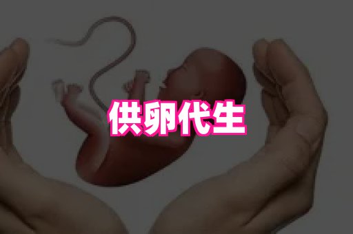 乐乐助孕网 4